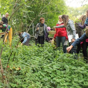 L’école du dehors : aventures, créations et apprentissages.